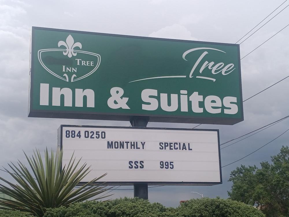 Midtown Inn & Suites Αλμπουκέρκι Εξωτερικό φωτογραφία